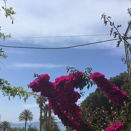 L'Ilot Fleuri Hotell Le Lavandou Exteriör bild